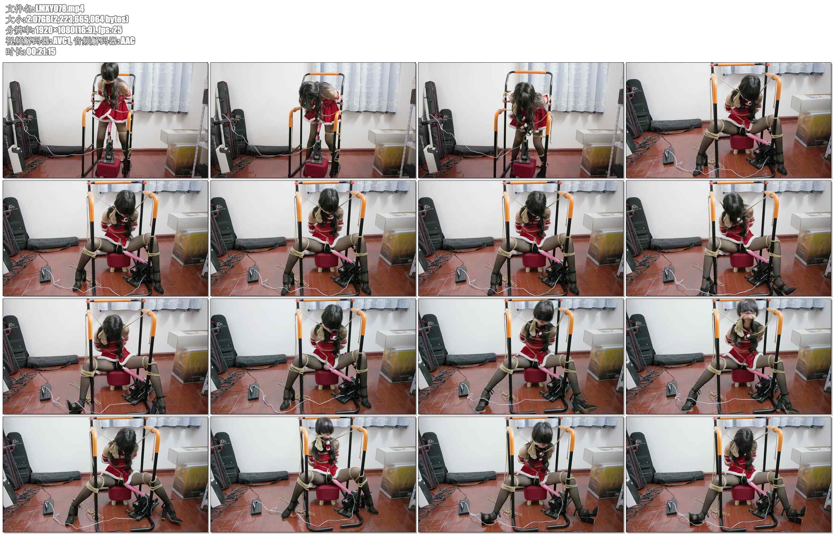 【LMXY】日记少女 新架子固定尝试 棒子强高 固定