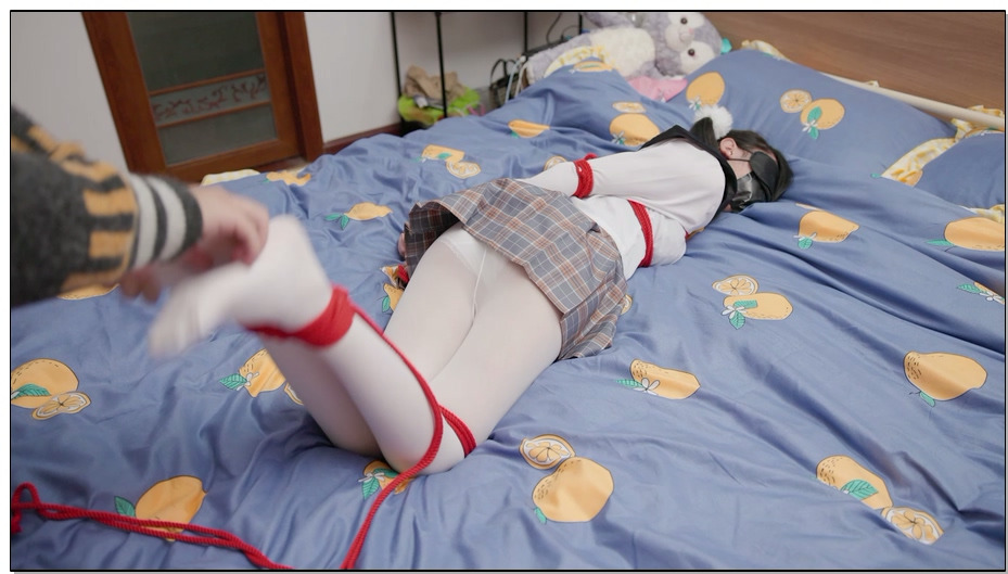 【LMXY】日记少女 白丝 JK 双马尾 拷问 挣扎 机械差到嗨晕过去为止