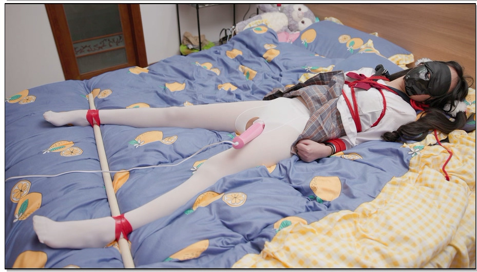 【LMXY】日记少女 白丝 JK 双马尾 拷问 挣扎 机械差到嗨晕过去为止