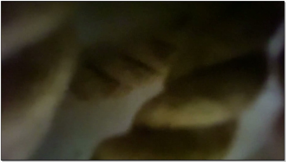 【鲁R绳艺】朵朵“家人”电话不断的打来 询问她何时回家 而我也想让她赶快回家