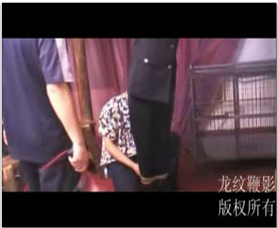 【龙纹鞭影】女警官的恶梦 幽幽