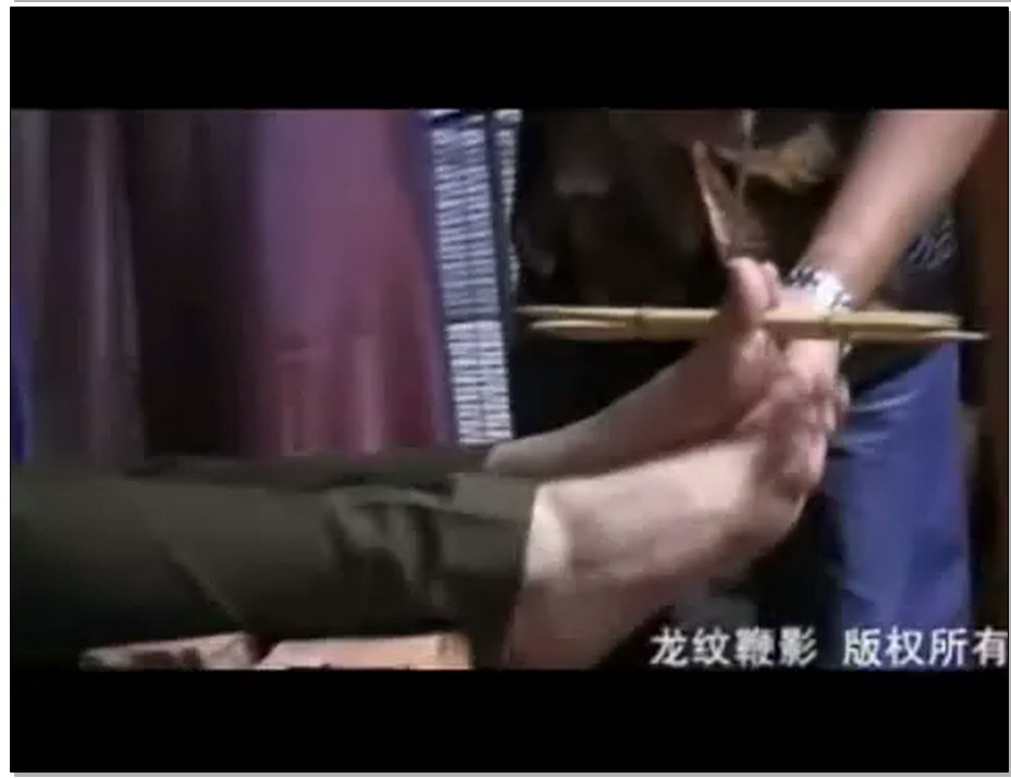 【龙纹鞭影】女官深入虎穴 