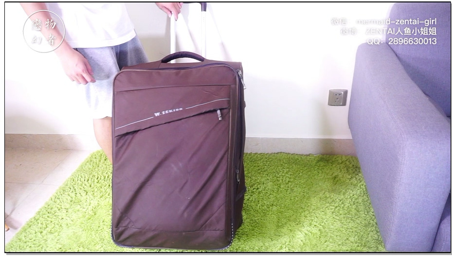 【恋物幻者】高叉白丝兔女郎的箱中屈辱闷热之旅！口球+捆绑+行李箱封禁+户外公共场所放置