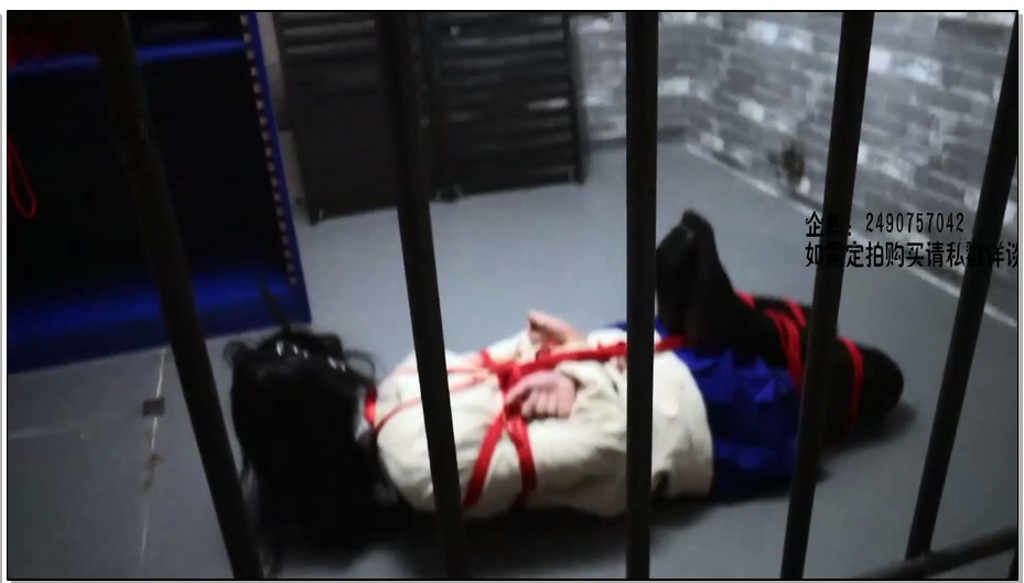 【莉雅】地牢紧缚挣扎 极限驷马，马具口球，紧缚挣扎