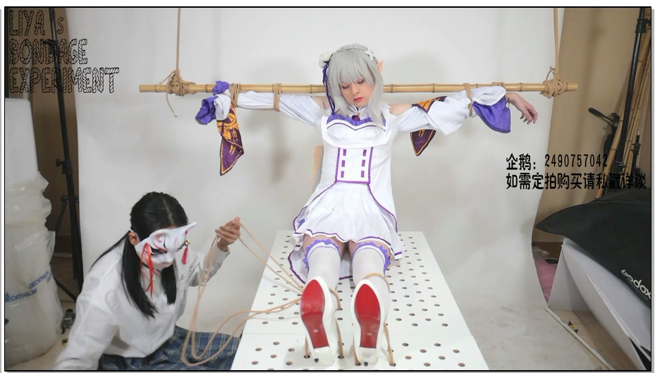 【莉雅】被神秘人蹲守的艾米莉亚 紧缚、拘束、固定、TK、棒棒 
