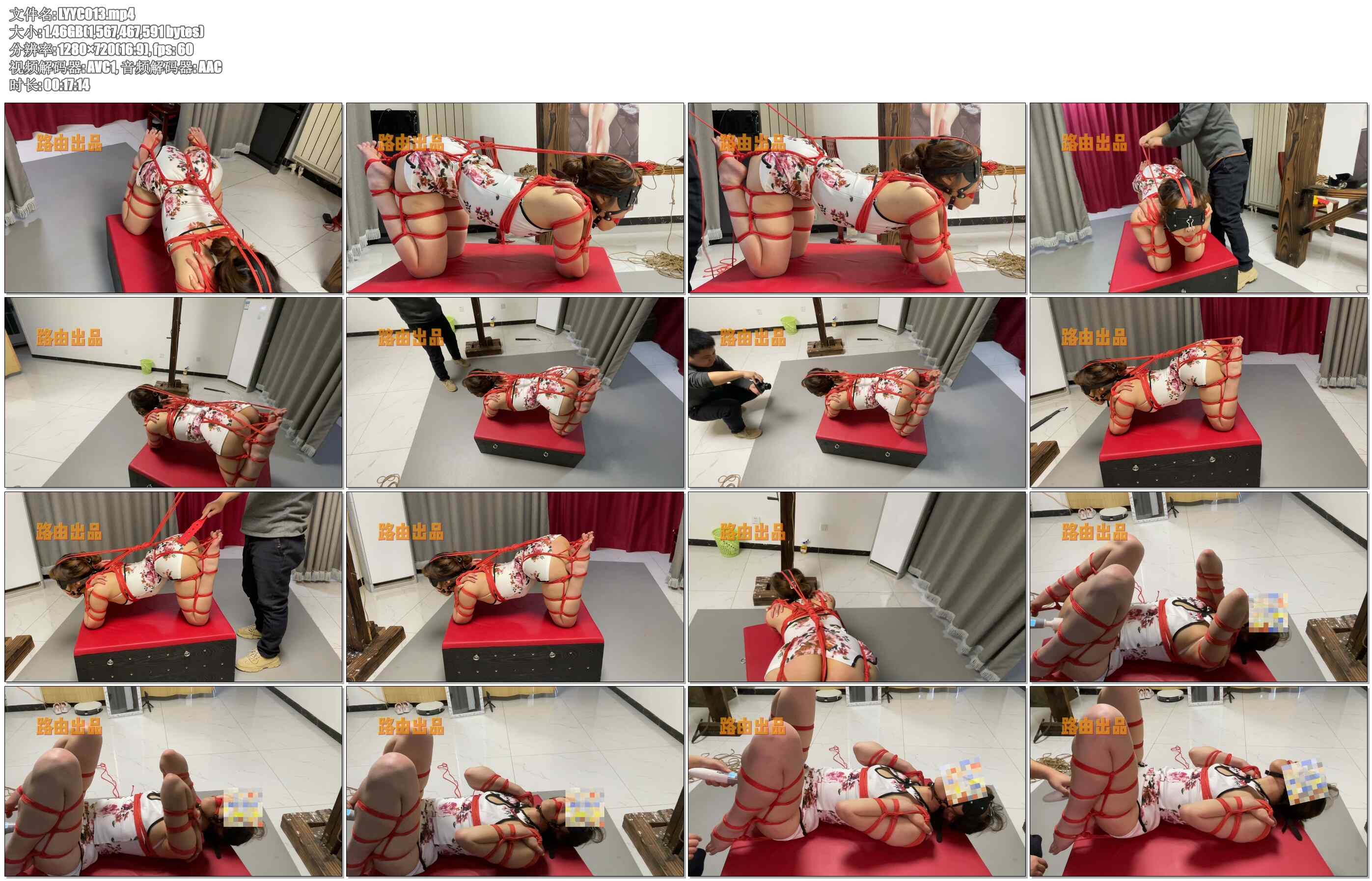 【路由原创】红绳犬缚 SP 震动奖励