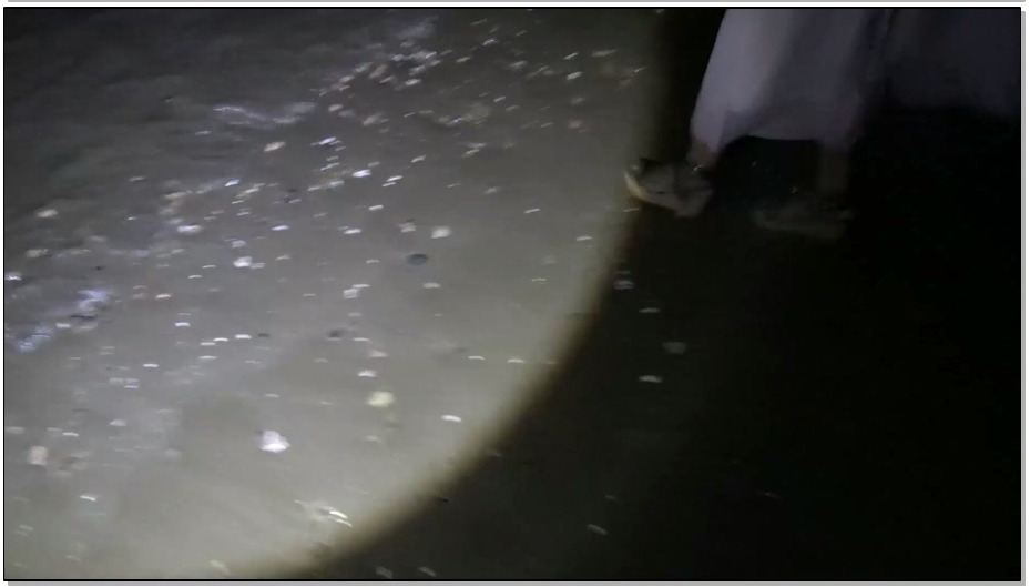 【魔法摄影】小翼 夜间镣铐海边游玩