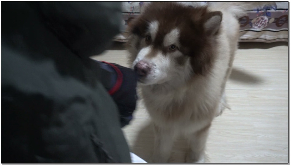 【魔法摄影】小翼 被监禁的女仆6