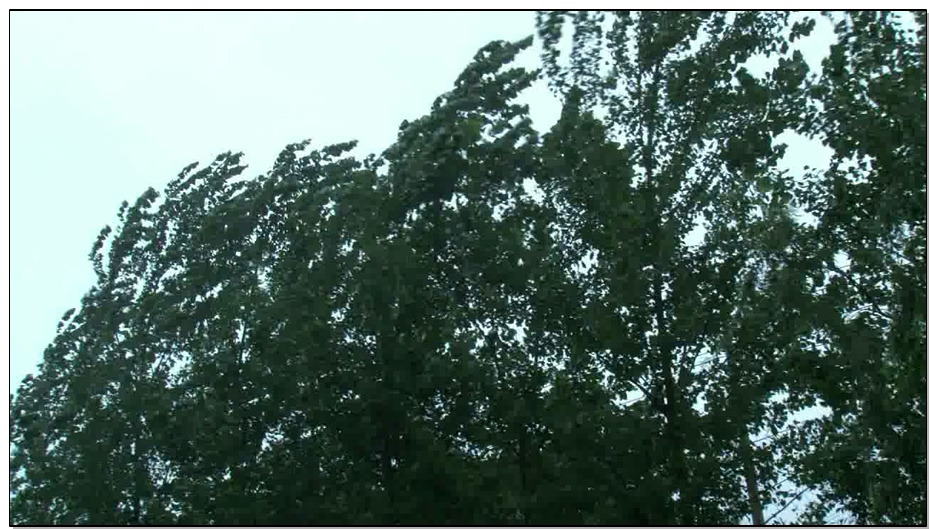 【MJ影视－花谢】Ann