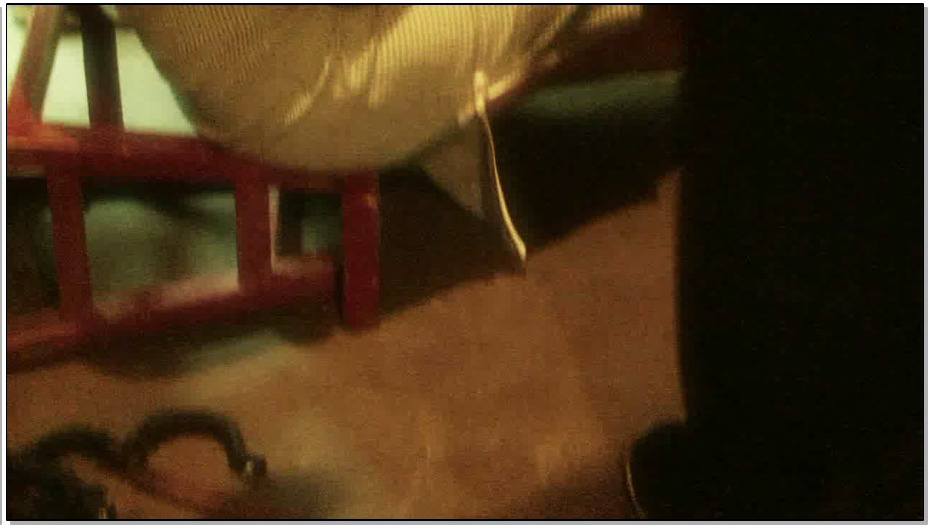 【MJ影视－那个年代】陈沫