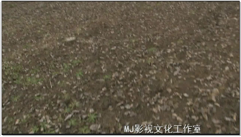 【MJ影视－人鬼情未了】梅晓莹