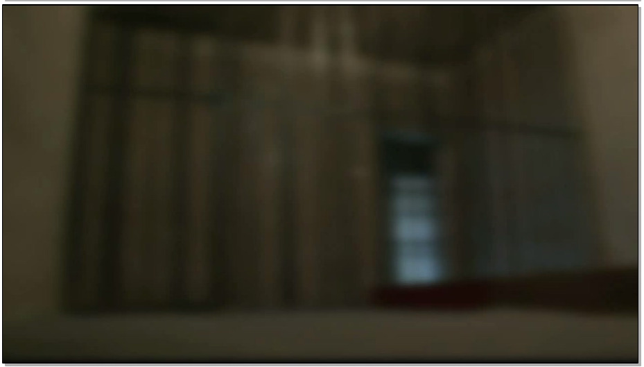 【MJ影视－歧路狂花】陈沫