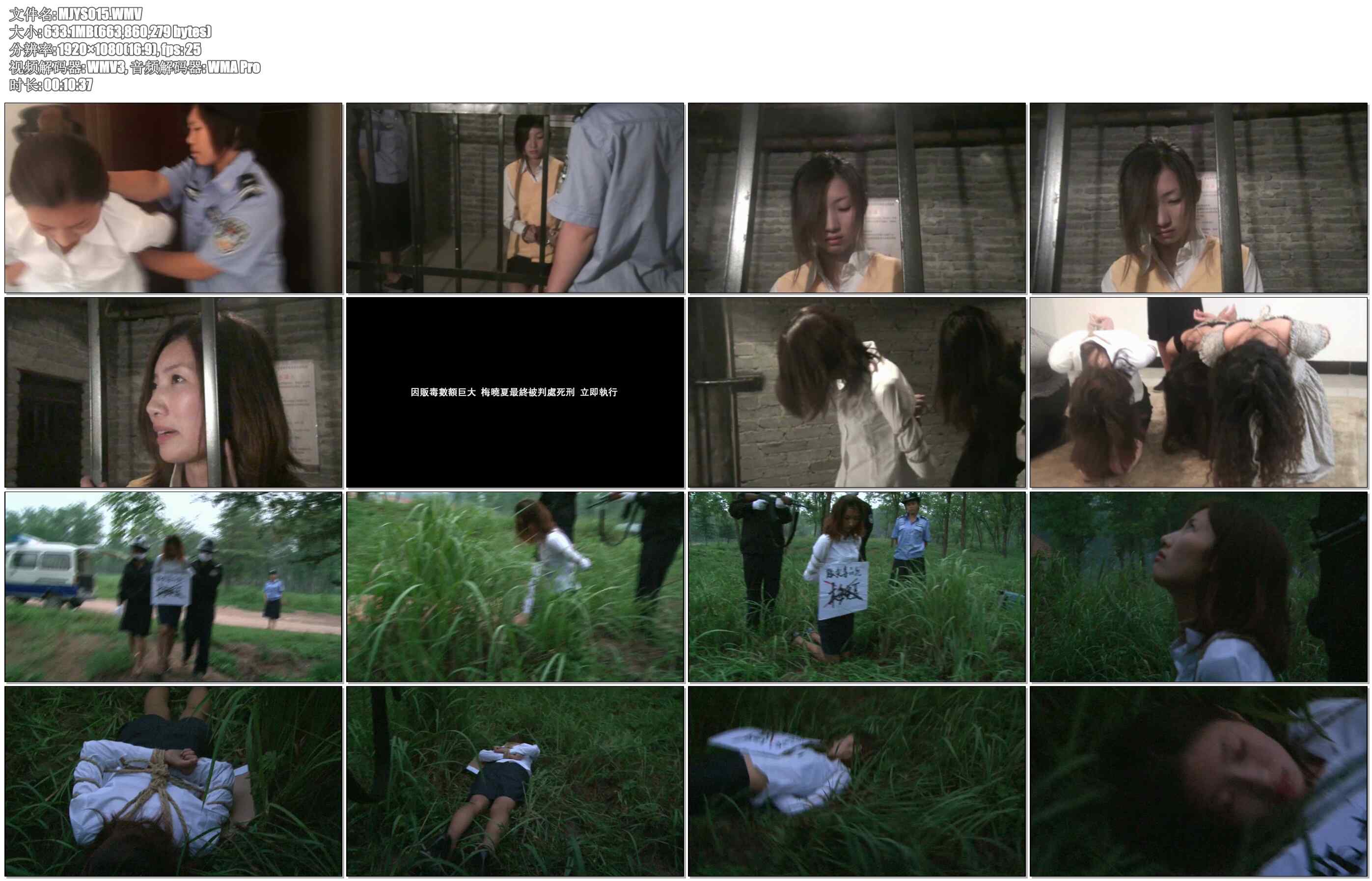 【MJ影视－坠入毒渊】梅晓夏