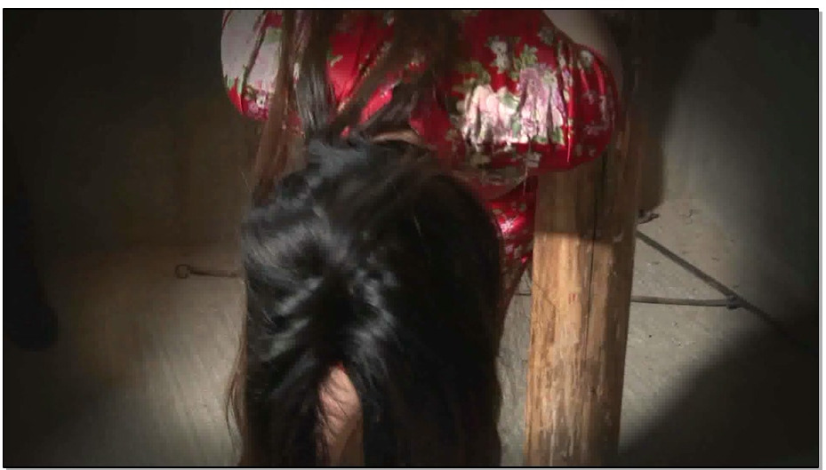 【MJ影视－乱世情仇】下 – 晓芳 晓香