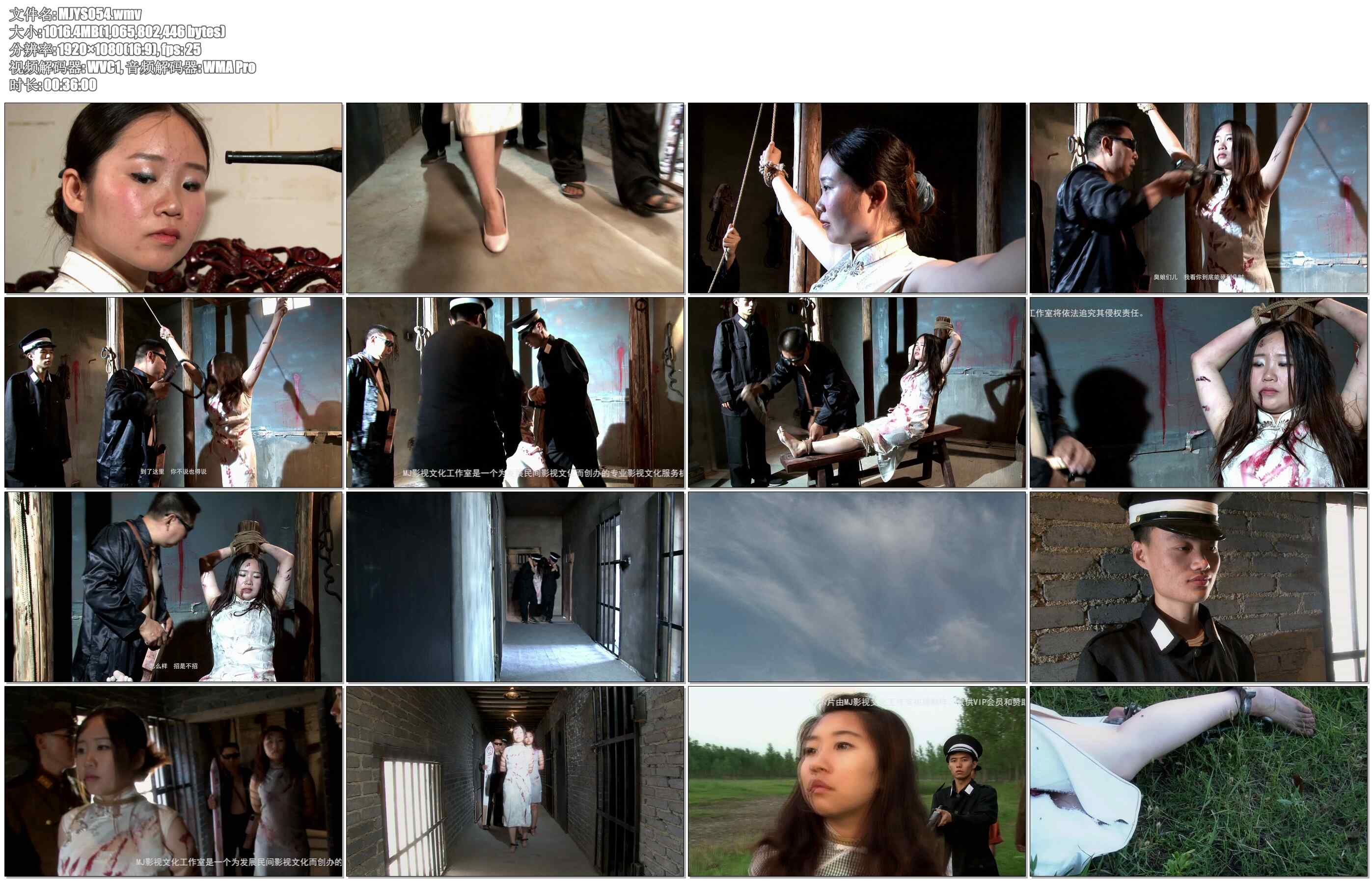 【MJ影视－烈焰凤凰】第一部