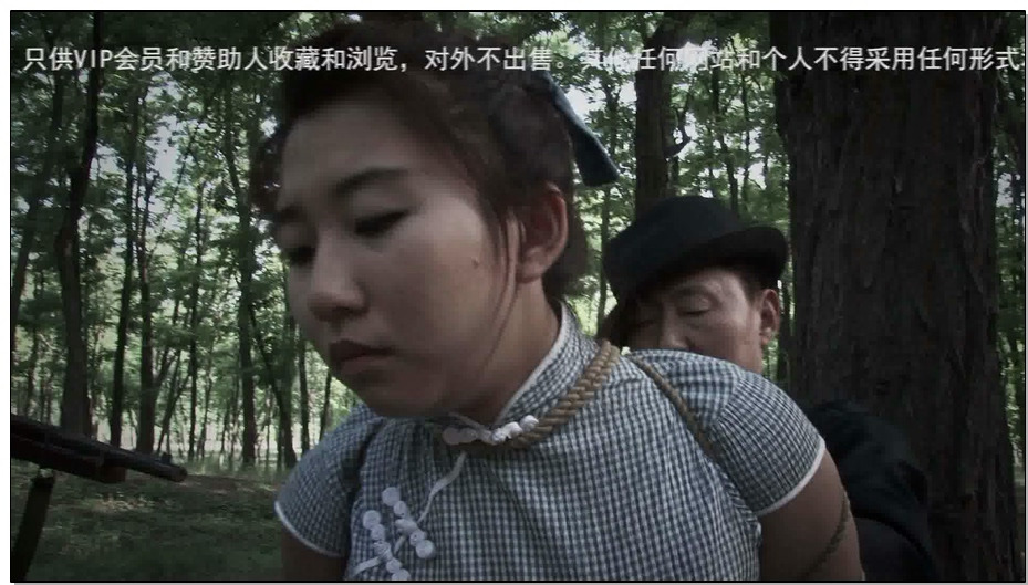 【MJ影视】烈焰凤凰 第二部