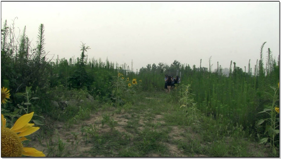 【MJ影视】女犯档案之沉默羔羊-林雨