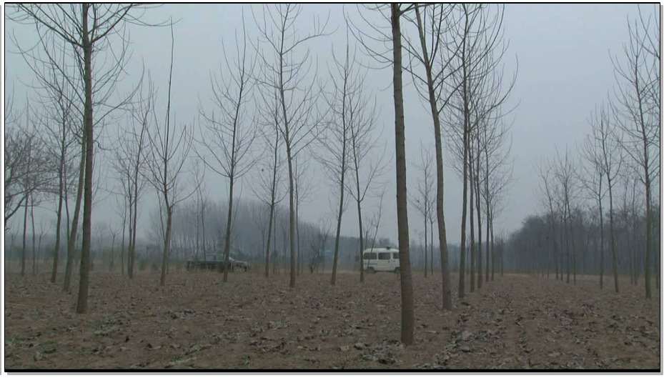 【MJ影视】噩梦