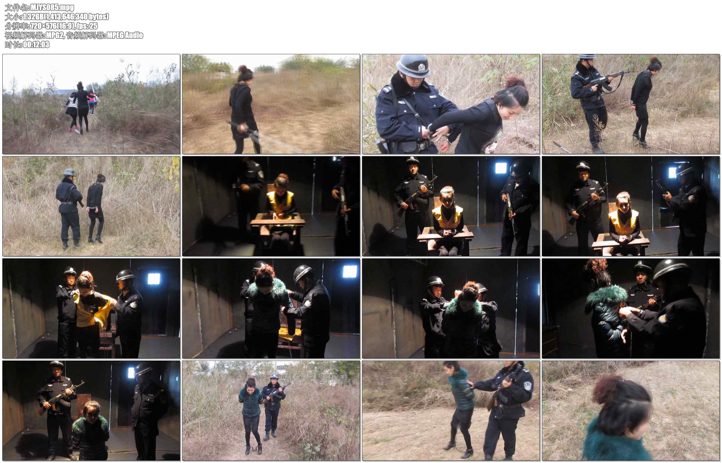 【MJ影视】暴徒