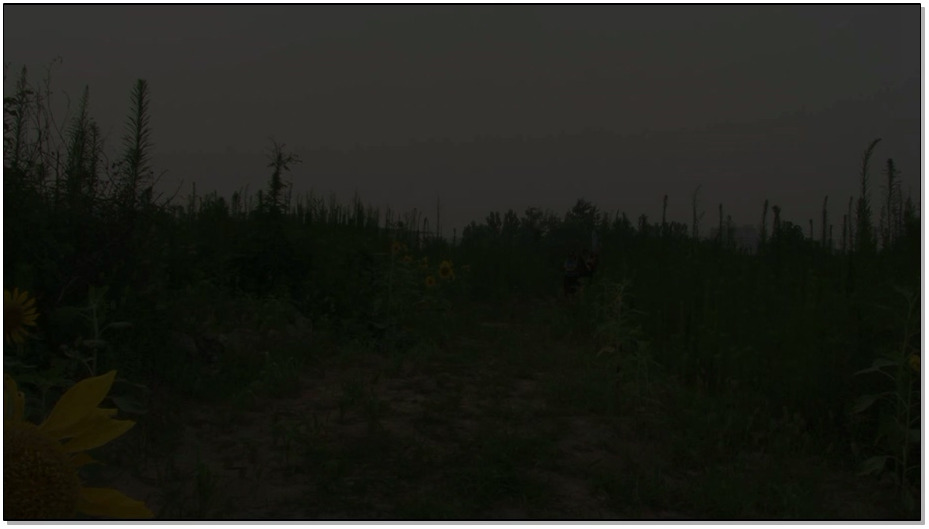 【MJ影视】女犯档案之贪犯覆灭