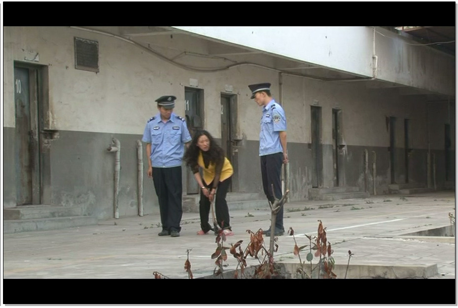 【MJ影视】毒枭寒苗