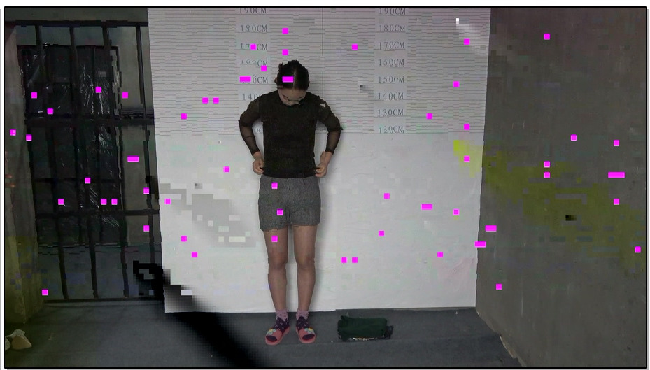 【MJ影视】迷途空姐