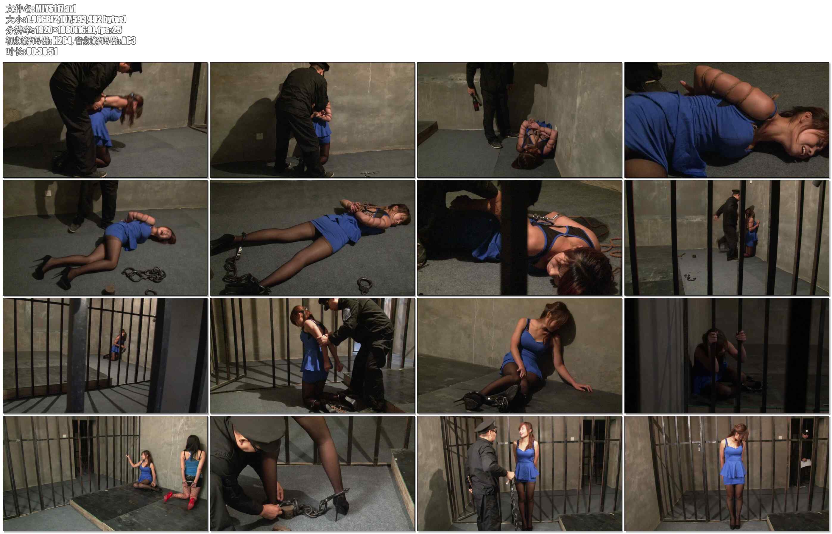 【MJ影视】惯犯入监