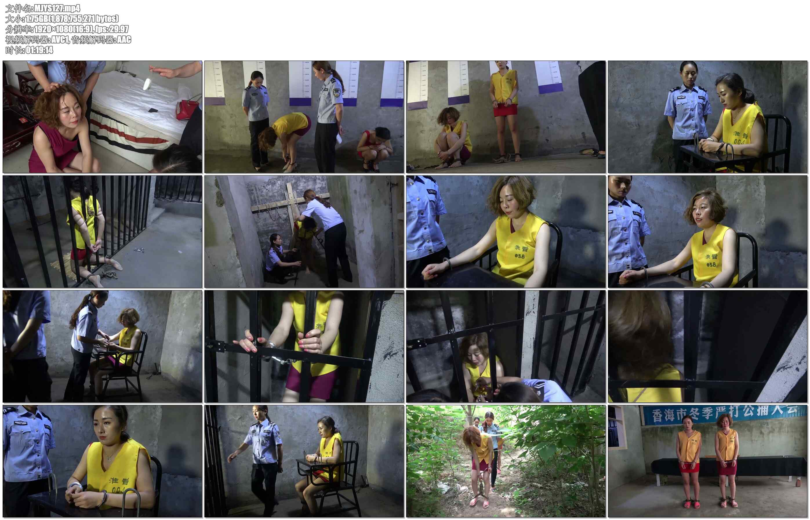 【MJ影视】毒贩丁丁