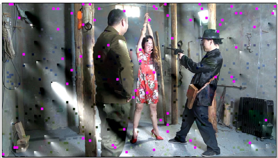 【MJ影视】花旗女烈王琳