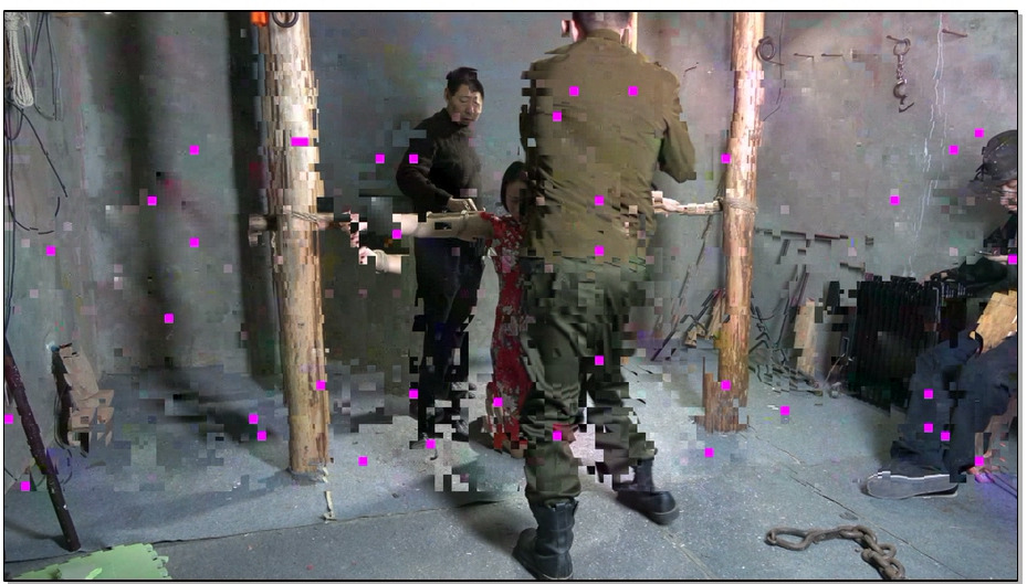 【MJ影视】花旗女烈王琳