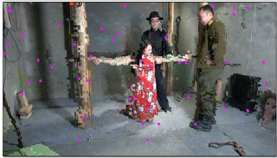 【MJ影视】花旗女烈王琳