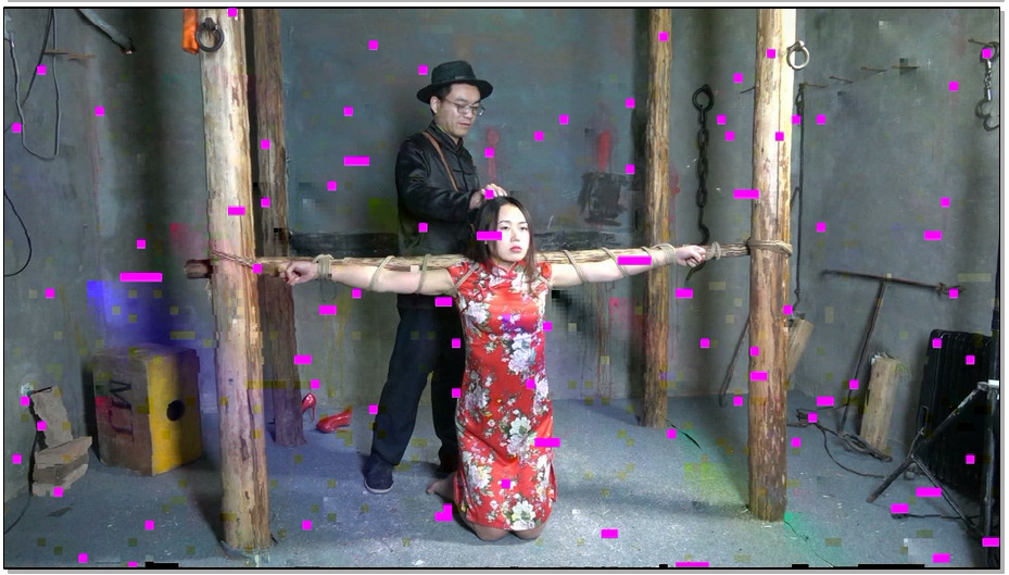 【MJ影视】花旗女烈王琳