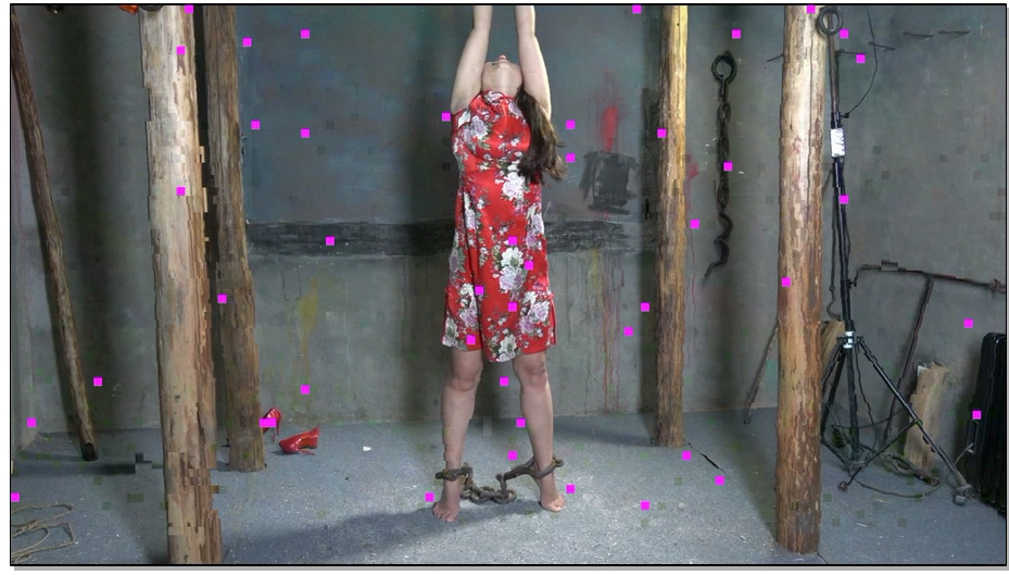 【MJ影视】花旗女烈王琳