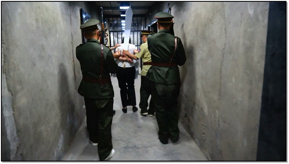 【MJ影视】女流氓主犯伏法记