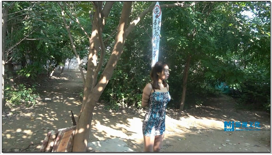 【MJ影视】刑场上的梅佳莉