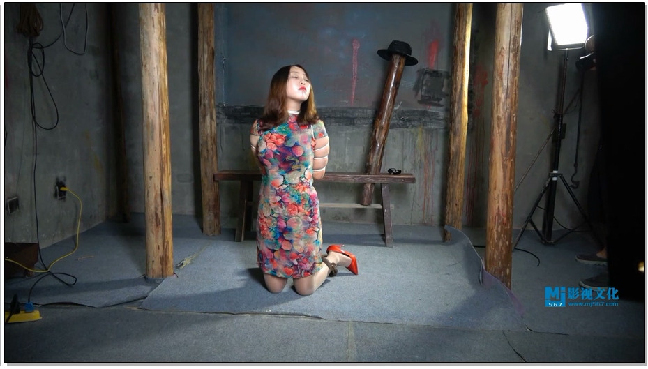 【MJ影视】宁死不屈的梅嘉莉