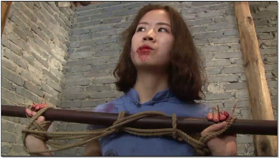 【MJ影视】忠魂