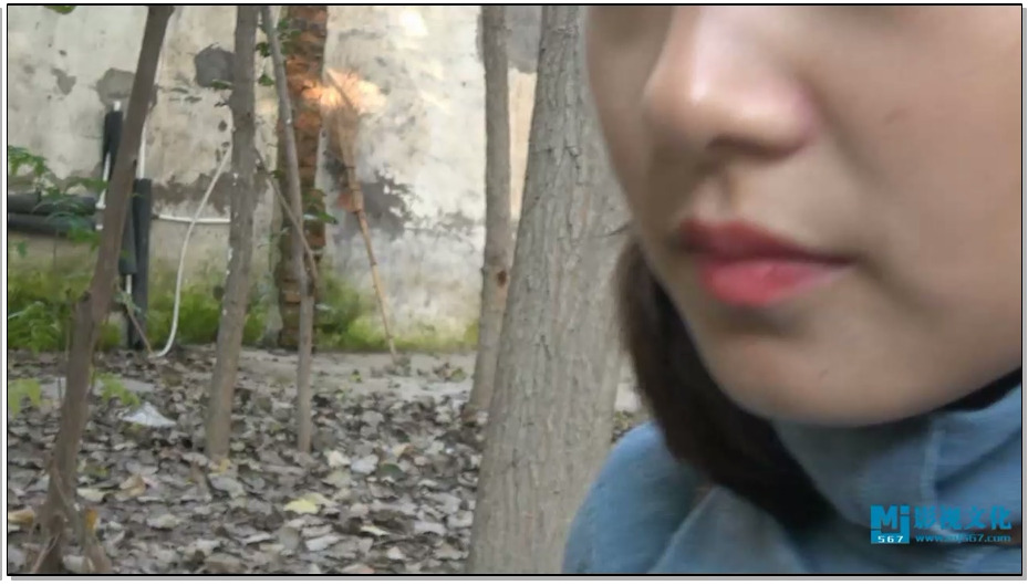 【MJ影视】杨冬梅被批斗