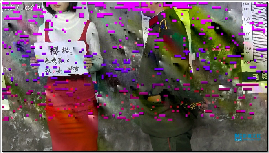 【MJ影视】色诱杀人犯樱桃 