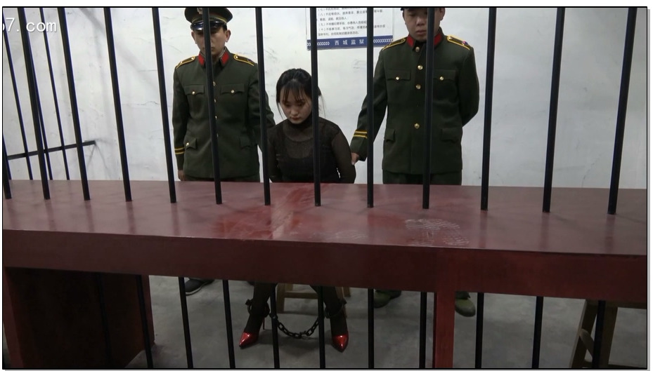 【MJ影视】贪污犯杨晨 判决 刑场