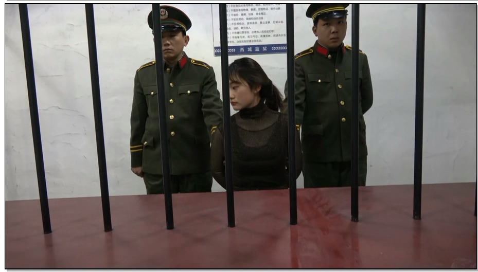 【MJ影视】贪污犯杨晨 判决 刑场