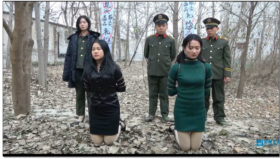 【MJ影视】抓捕枪毙女毒贩 新模贾慧纶