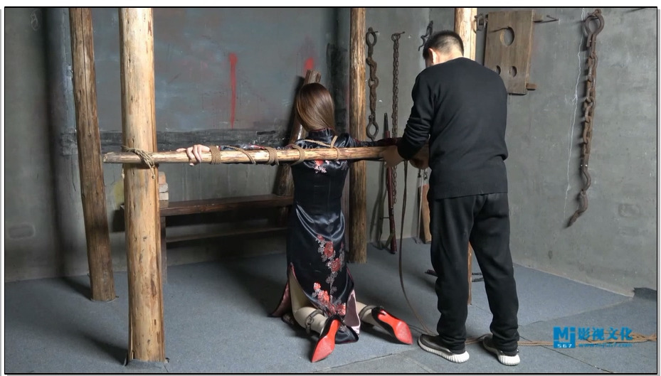 【MJ影视】女烈李晓黙 