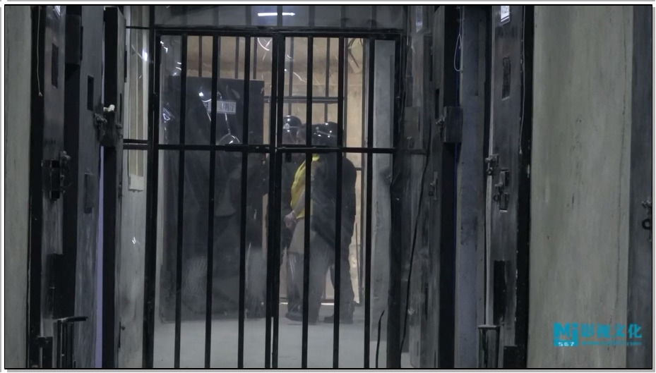 【MJ影视】赤裸特工的覆灭 苏冰倩[无声] 