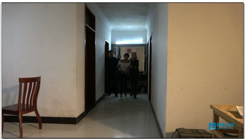 【MJ影视】梅佳丽又犯重案