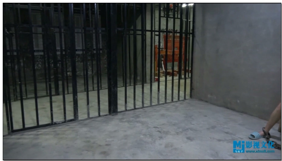 【MJ影视】罂粟姊妹花-姐妹毒枭