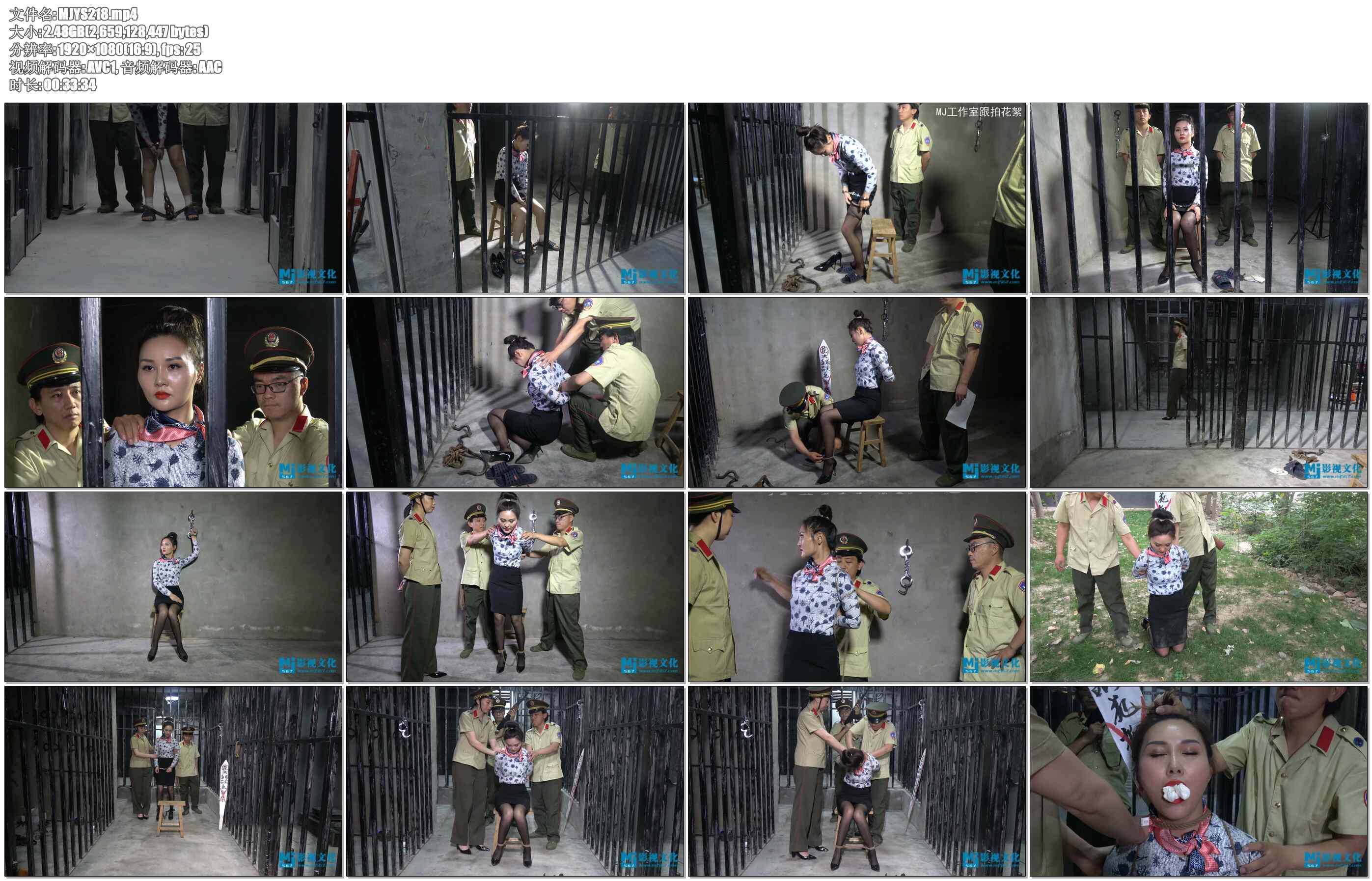 【MJ影视】第三次执行 柳絮