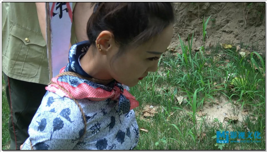 【MJ影视】第三次执行 柳絮