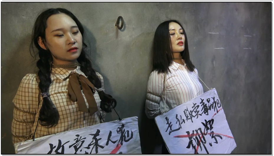 【MJ影视】董丽娜