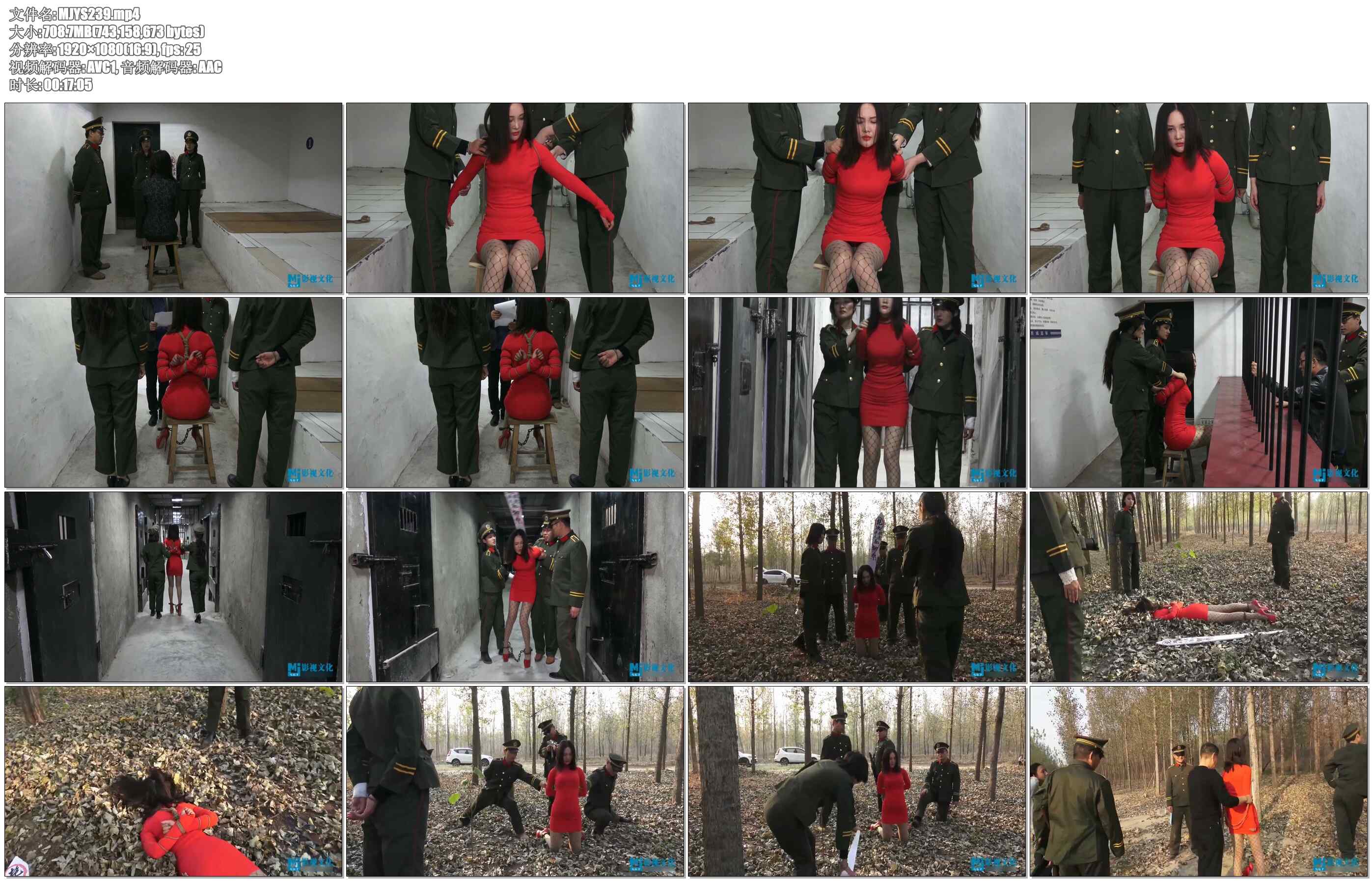 【MJ影视】小毒妇